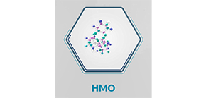 HMO APLV