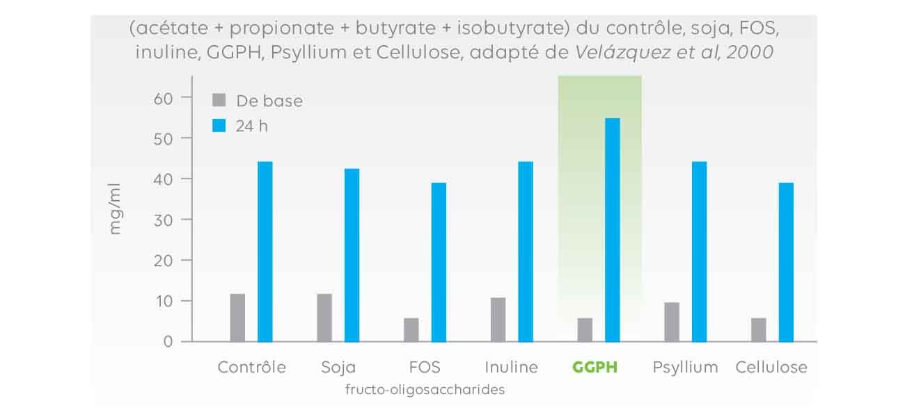 OptiFibre France  Issy-les-Moulineaux